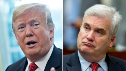 National Republican Congressional Committee Chair (NRCC) Tom Emmer warned former President Trump against backing primary challenges to Republican lawmakers who voted to impeach him.
