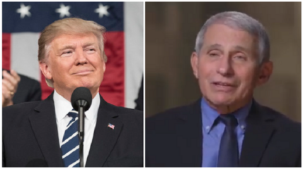 Former President Donald Trump issued a statement slamming Dr. Anthony Fauci and Dr. Deborah Birx as "two self-promoters trying to reinvent history."