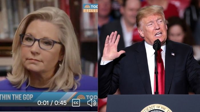Liz Cheney Floats Conspiracy Theory That Trump Will 'Unravel The Democracy To Come Back Into Power'