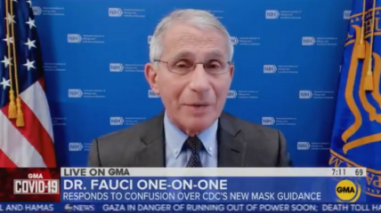 fauci now admits