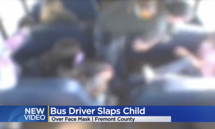 Bus Driver Slaps Child