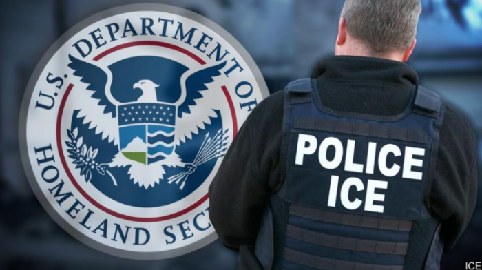 ICE Averaging ‘One Arrest Every Two Months’ During Border Crisis: ‘Functionally Abolished’