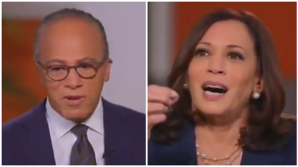 NBC host Lester Holt, in an interview with Kamala Harris, called the Vice President out after she falsely insinuated to have visited the border since being put in charge of handling the migrant surge.
