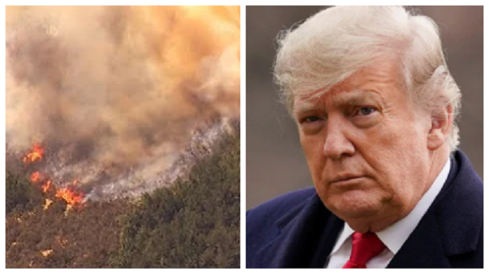 California plans on spending billions over the next several years clearing out forest floors in an attempt to limit wildfires. The media ridiculed former President Trump for suggesting they do the same.