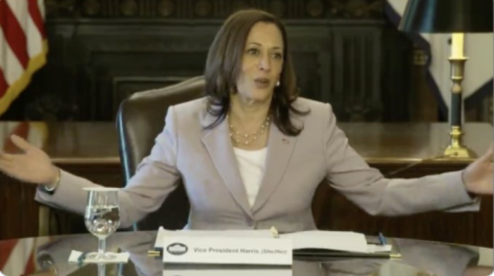 Vice President Kamala Harris Declares ‘My Pronouns Are She And Her’