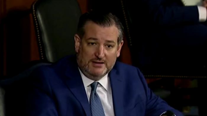 Senator Ted Cruz introduced a bill that would block federal funding for any agency engaged in critical race theory training.