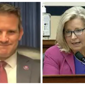 The House of Representatives voted to create a select committee to probe the January 6 Capitol protest, with Liz Cheney and Adam Kinzinger being the only two Republicans to back the effort.