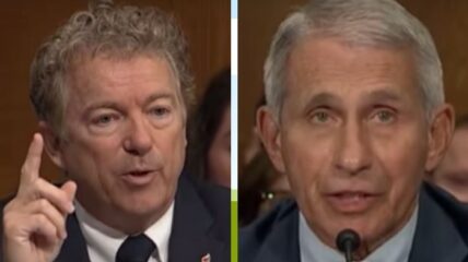 Rand Paul To Anthony Fauci: 'You Are Aware It Is A Crime To Lie To Congress'