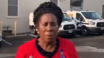Democrat Sheila Jackson Lee was arrested Thursday by Capitol police during a protest at the Hart Senate Office Building.