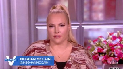 If Kamala Harris Replaced Biden In 2024, Meghan McCain Says 'Ron DeSantis Would Put Her In The Ground'