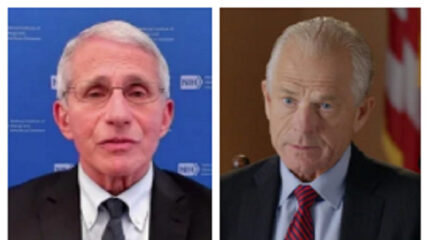 Peter Navarro, a former trade adviser to Donald Trump, slammed Doctor Anthony Fauci as an "evil" man whom he advised the former President to fire on at least two occasions.