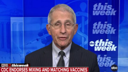 The hashtag #ArrestFauci began trending over the weekend as reports surfaced that Doctor Anthony Fauci's agency, the National Institute of Allergies and Infectious Diseases, used taxpayer funds to finance cruel experiments on dogs.