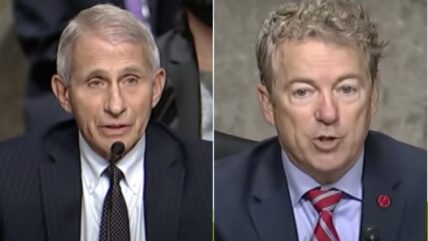 Paul Tells Fauci: 'I Think It’s Time You Resign'