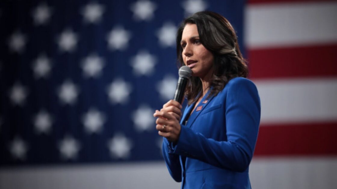 Tulsi Gabbard Cheered Terry McAuliffe Loss A 'Victory For All' Over Those Who 'Separate Us By Race'