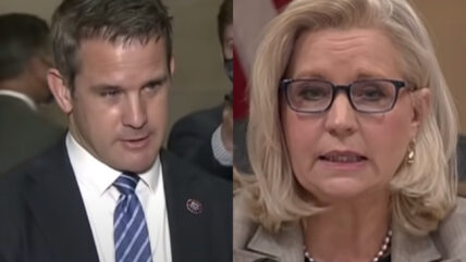 More Than 40 Conservative Figures  Urge McCarthy To Remove Kinzinger And Cheney From House GOP Conference
