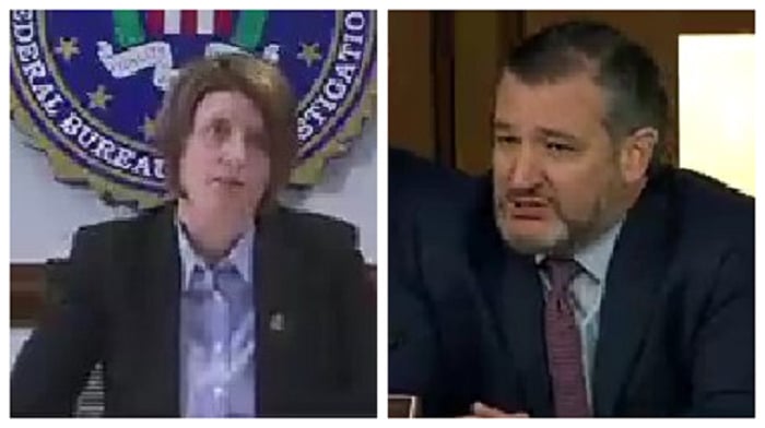 FBI Executive Assistant Director of National Security Branch Jill Sanborn repeatedly dodged questioning from Senator Ted Cruz about whether or not agents from the bureau or confidential informants had participated in the January 6 riot at the Capitol.