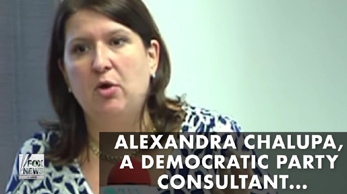 Alexandra Chalupa, who worked in the Clinton administration and was a consultant for the Democratic National Committee, is calling for Fox News host Tucker Carlson to be prosecuted for treason.