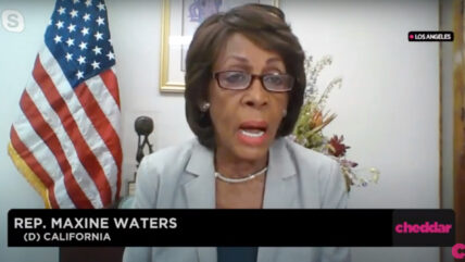 Maxine Waters Claims Trump's Base Is Growing So They Can ‘Undermine The Constitution’