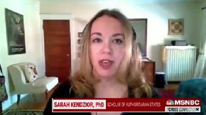 MSNBC guest Sarah Kendzior, a regular contributor to the network, pushed a conspiracy theory that Donald Trump was "installed" as President as a means to benefit Vladimir Putin.