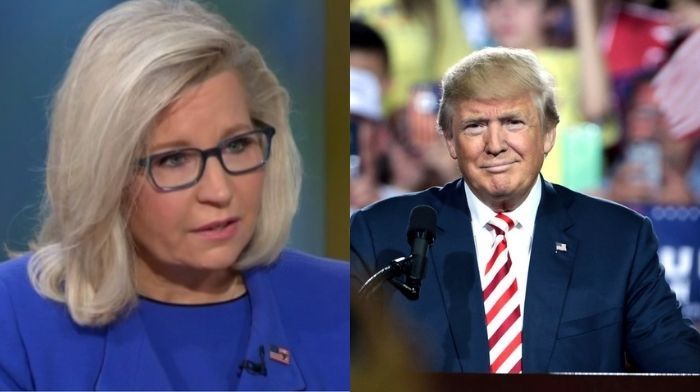 Liz Cheney Stands With Never Trumper Who Says Trump Is A 'Would Be Tyrant'