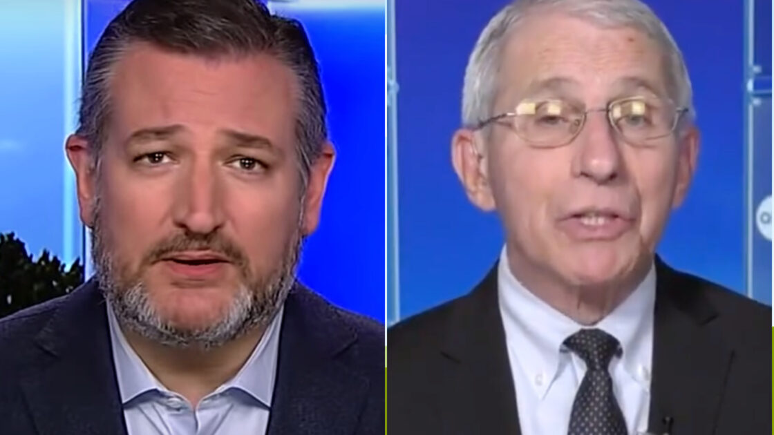 Cruz Blasts Fauci For Leaving Door Open To Bring Back COVID Restrictions: ‘Hell No’