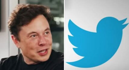 Elon Musk Twitter board