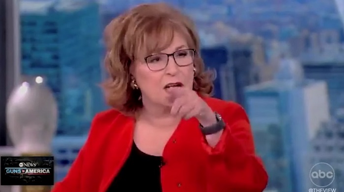 Co-host of "The View," Joy Behar, suggested gun laws will only change in this country "once black people get guns."