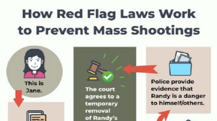 Pennsylvania Governor Tom Wolf posted a meme meant to simplify how red flag laws work, including an explainer on how social media posts with pictures of guns and "cryptic" messages could lead to temporary gun confiscation.