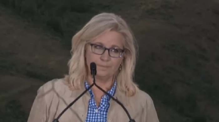 Representative Liz Cheney lost her Wyoming primary election to Republican Harriet Hageman, a Trump-backed primary challenger, in an embarrassing fashion.