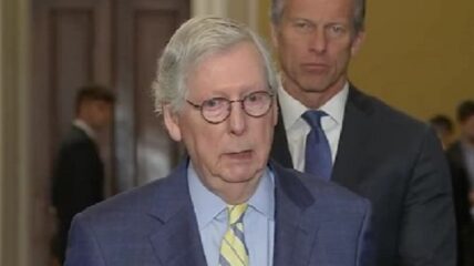 Mitch McConnell pointed a finger directly at Donald Trump in discussing his party's disappointing midterm results this past election.