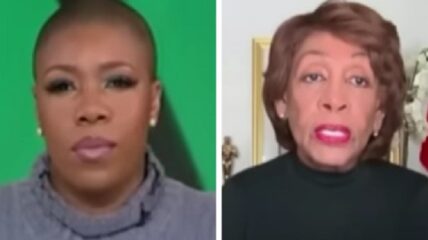 Maxine Waters took a shot at two Democrat Senators - Kyrsten Sinema and Joe Manchin - suggesting they "don't give a darn" about police reform.