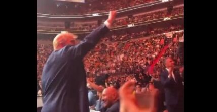 Donald Trump was on the receiving end of massive cheers at a UFC event held in Florida, while one fighter led the crowd in 'Let's Go Brandon' chants during a post-fight interview.