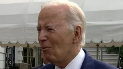 IRS whistleblower Gary Shapley claims that he and other agents were not allowed to ask questions about President Biden - the "big guy" - during their investigation of his son, Hunter.