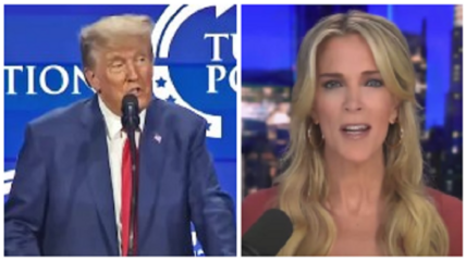 Megyn Kelly revealed that she and Donald Trump held a private conversation recently and had patched up their one-time contentious relationship.