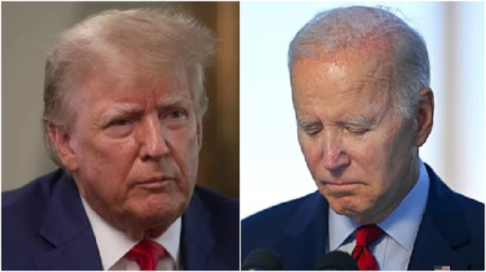 Trump continues to dominate the rest of the Republican field for the presidential nomination and would defeat Joe Biden in a rematch according to a new Harvard-Harris poll.