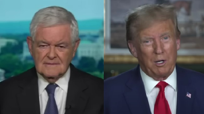 Former House Speaker Newt Gingrich charges that the latest indictment of Donald Trump is an "absurdity" and will, in the long run, only serve to get him nominated "by a landslide."