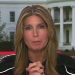 MSNBC host Nicolle Wallace put her viewers in a fighting stance claiming violence is about to erupt in America because Donald Trump is inciting his "cesspool" MAGA base with lies.