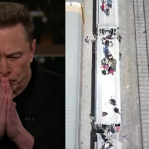 X CEO Elon Musk announced he will travel to the southern border to assess the ongoing illegal immigrant crisis.