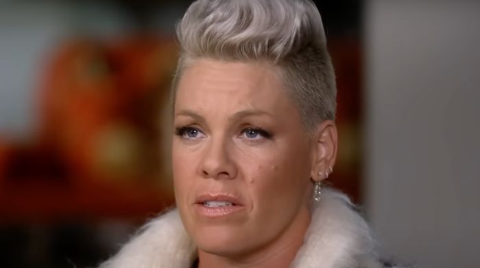 Singer Pink Announces Plans To Hand Out 2,000 ‘Banned’ LGBT, Other Books At Florida Concerts