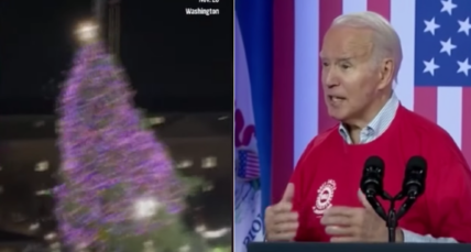 The National Christmas Tree crashed to the ground outside the White House prompting critics to suggest it just might be a metaphor for President Biden and his administration.