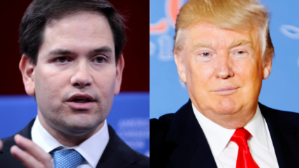 Sorry DeSantis: Both Florida Senators Have Endorsed Trump After Marco Rubio Makes Announcement