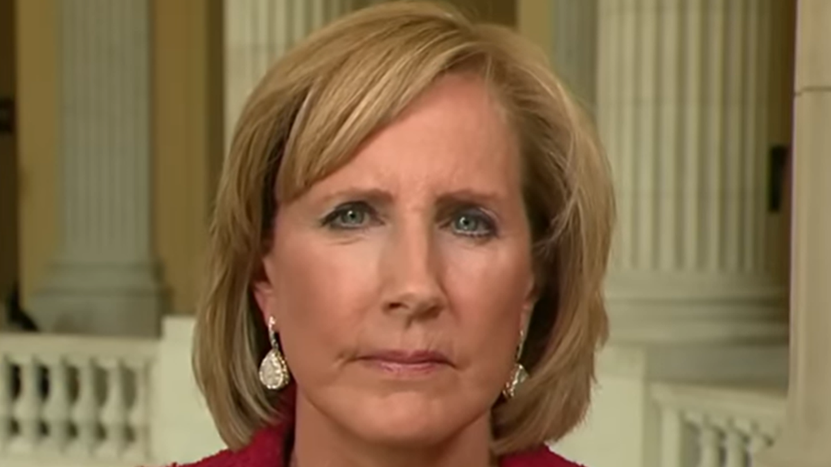Republican Representative Claudia Tenney has officially asked Attorney General Garland to pursue the 25th Amendment against President Biden, while Senator Josh Hawley urges Democrats to act in a “patriotic” manner.