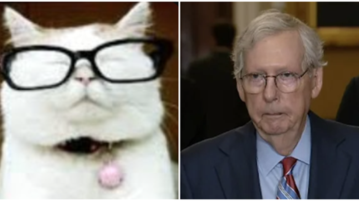McConnell’s Plan to Take Down Trump: Catturd’s Bold Prediction