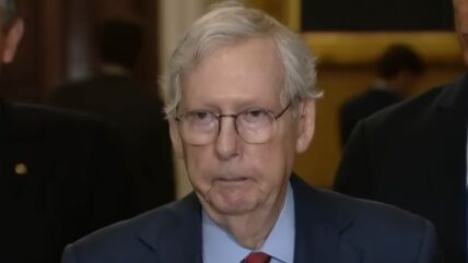 Mitch McConnell vows to stay in the Senate to fight the GOP's 'isolationist movement'