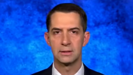 Learn about Senator Tom Cotton's comments on anti-Israel protests and his suggestion for handling the situation differently.