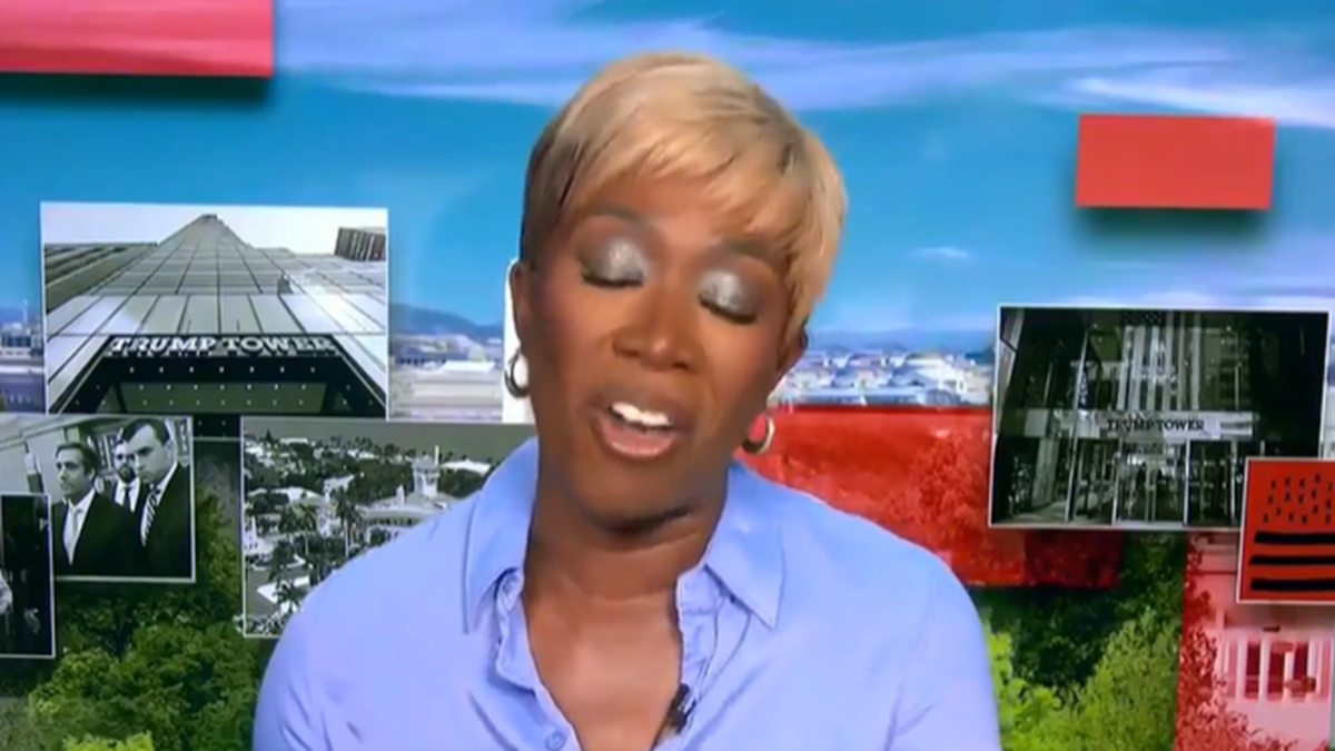 Joy Reid from MSNBC finds something “wonderfully poetic” in the idea of DEI officials prosecuting Trump.