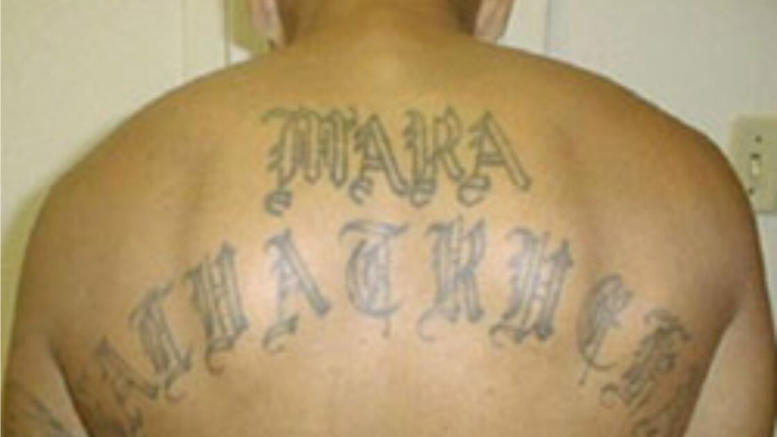 Department of Justice: MS-13 Leader Arrested in Virginia