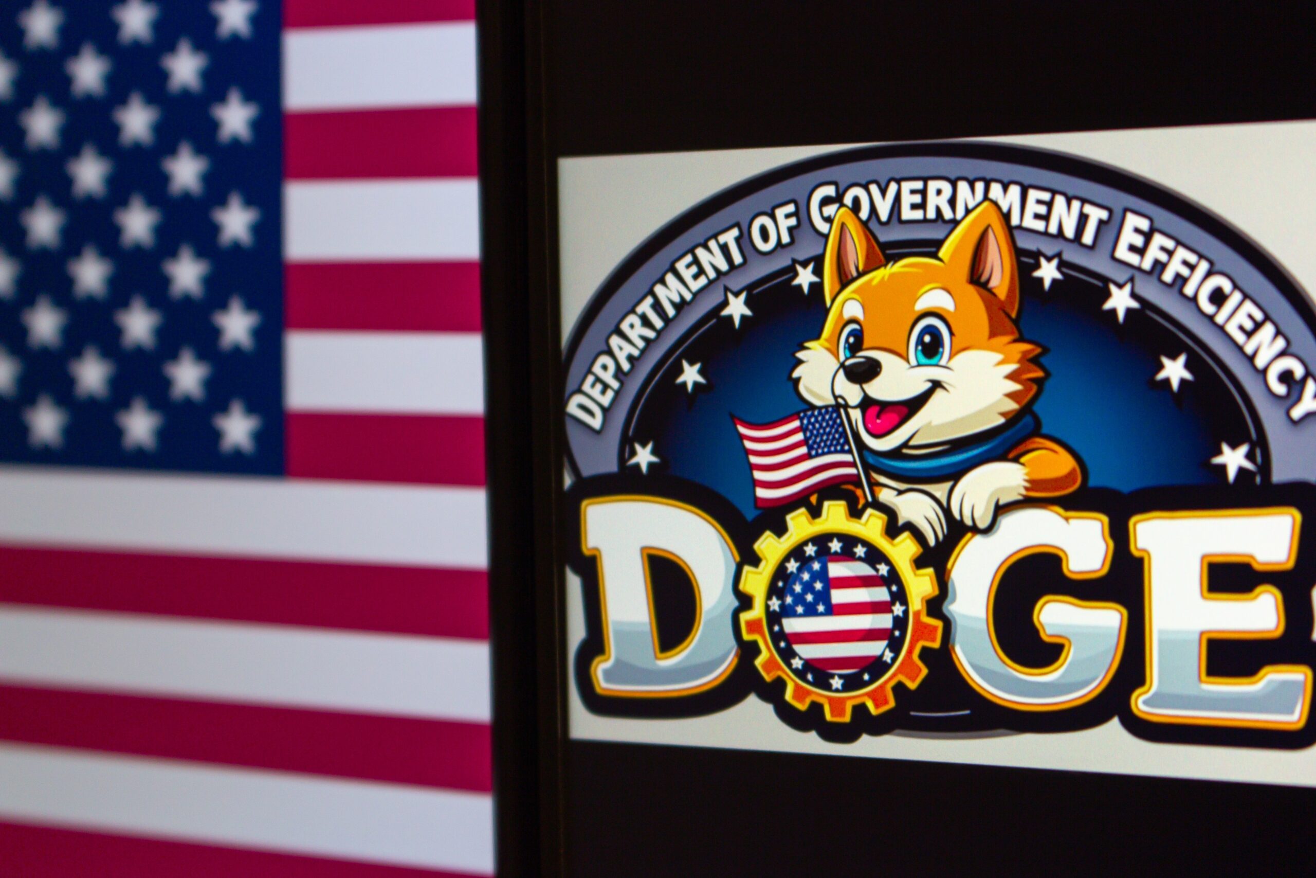DOGE Official Says They’ve Found Illegal Immigrants Who Have Voted in US Elections