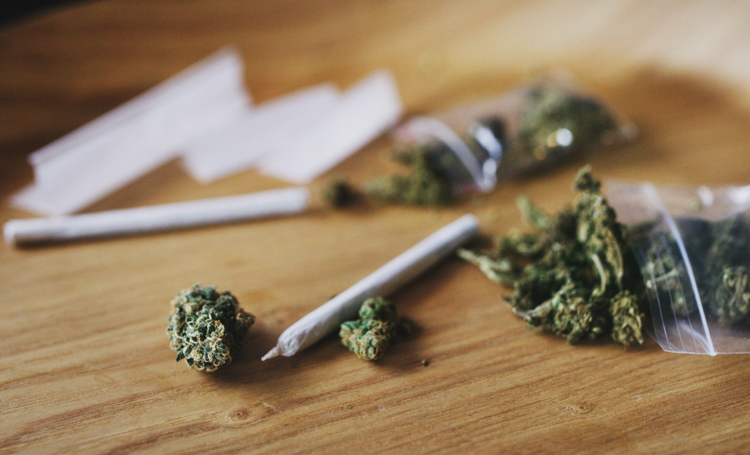 Authorities Find Plants, Cash, and Guns From Illegal Marijuana Grow Sites in Rural California