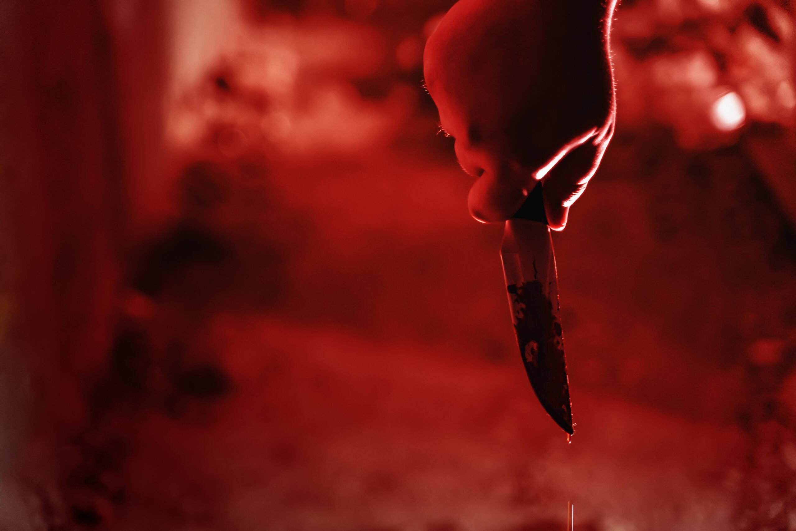 North Carolina Legislature Passes Bill Spurred by Fatal Knife Attack on Ukrainian Refugee